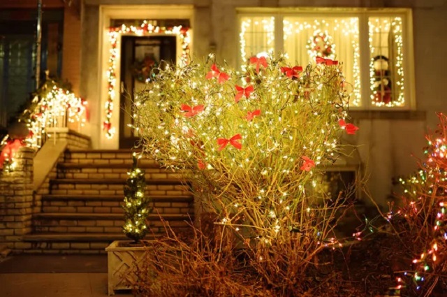 ANSIO® Guirlande Lumineuse 7.5 m 220 LED Blanc Froid Guirlande Stalactite  de Noel d'Extérieur et Intérieur Idéales pour Fenêtre, d’un Jardin | Facile